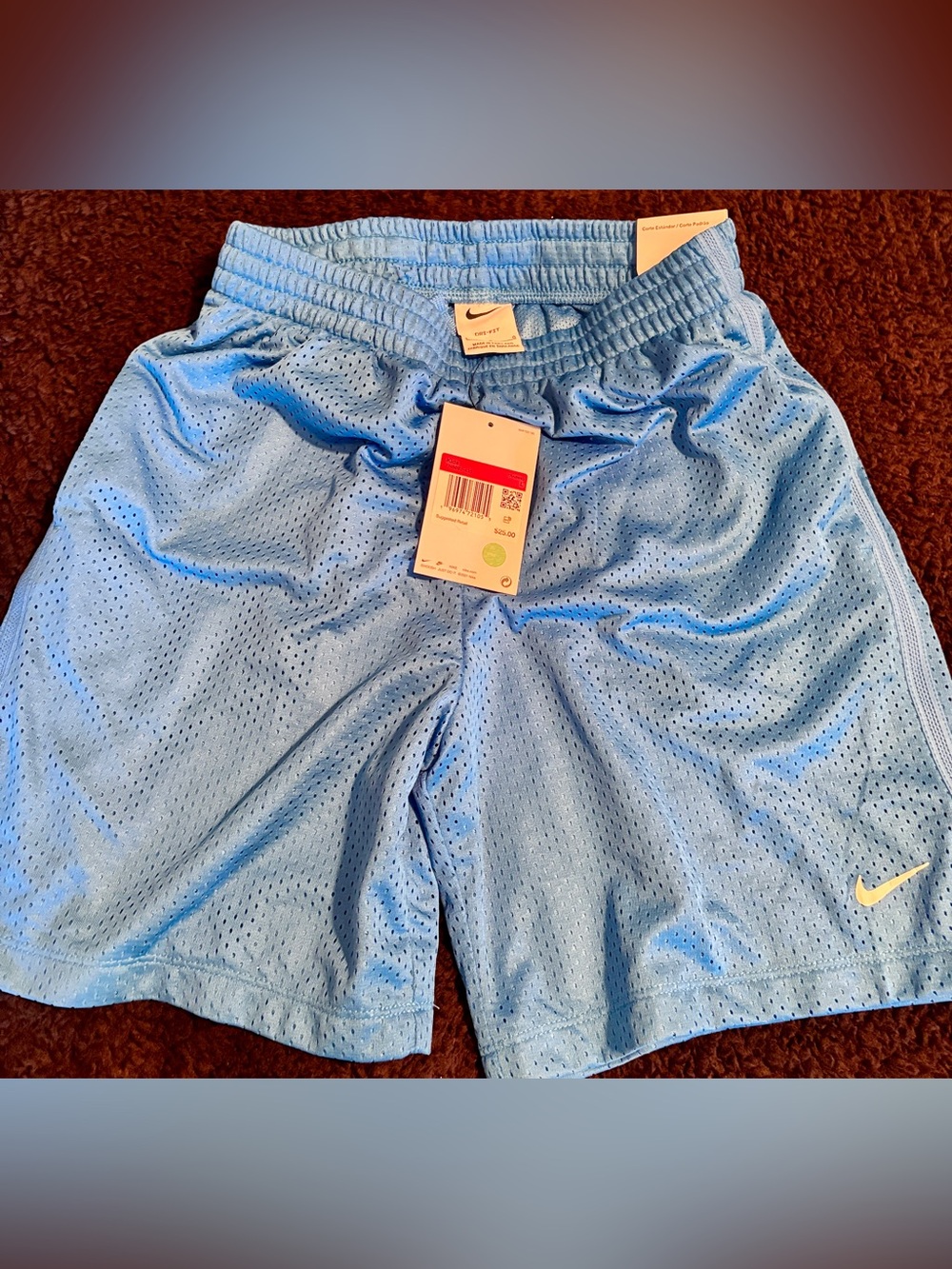 Nike Light Blue Mesh Kids Athletic Shorts